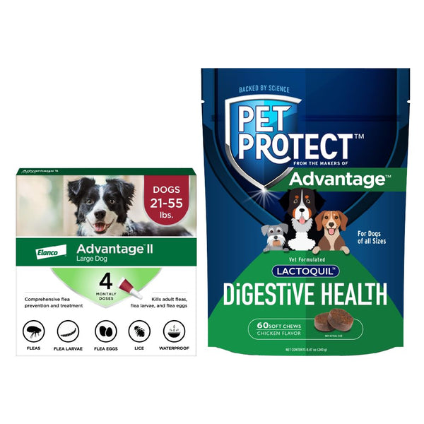 Advantage II Large Dog| Dogs 21-55 lbs.