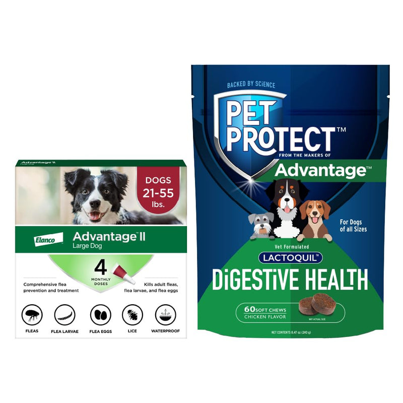 Advantage II Large Dog| Dogs 21-55 lbs.